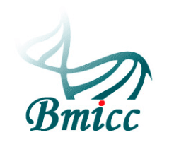 BMICC image